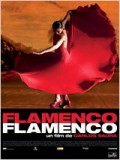 Affiche Flamenco, flamenco