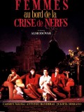 Femmes au bord de la crise de nerf, de Pedro Almodovar Femmes au bord de la crise de nerf, de Pedro Almodovar
