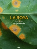 La Roya