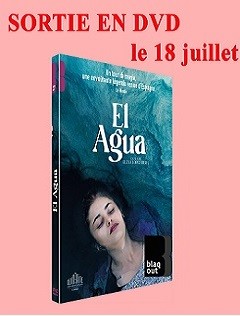 Affiche sortie DVD